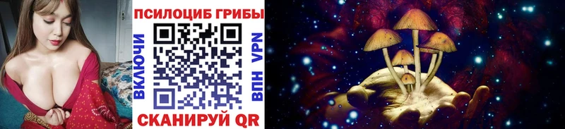 Купить закладки  Валдай  Псилоцибиновые грибы прущие грибы 
